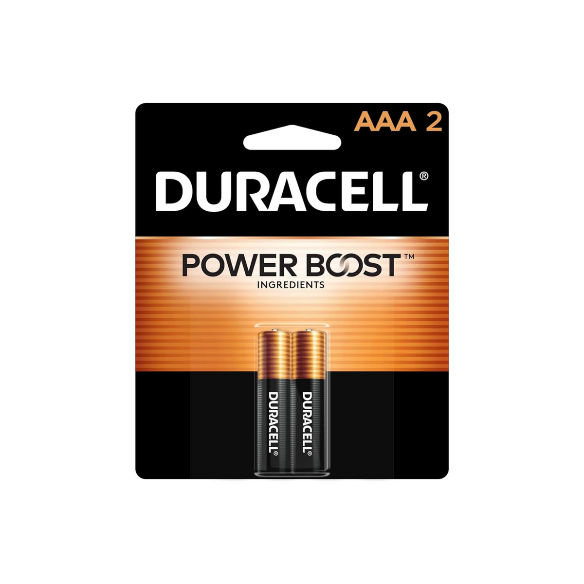 Pilas AAA Duracell 18/2ct